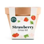 Radis et Capucine - Kit Fraisier - Pot Terre Cuite Antique - 13 cm - MEDIA_PACKAGING_VERSO